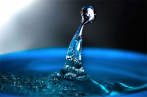 Woda w organizmie