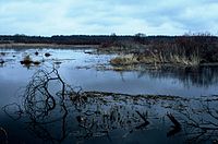 Biebrzański Park Narodowy