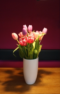 tulipany